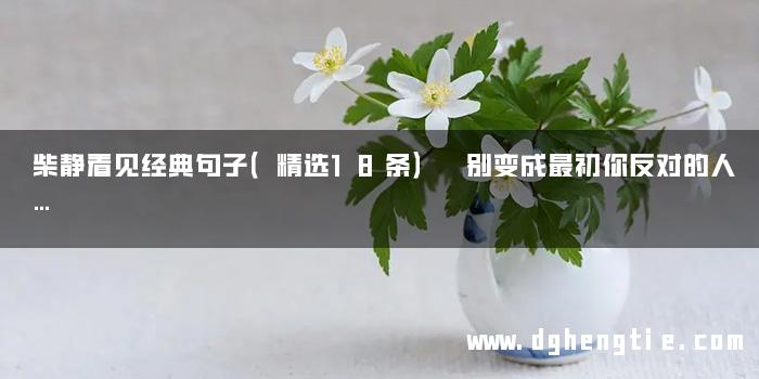 柴静看见经典句子（精选18条） 别变成最初你反对的人…